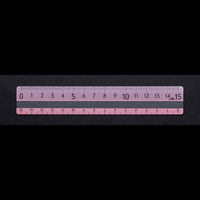 レイメイ藤井 直線定規 ヨクミエルーラー 15cm ピンク APJ1368P 1セット(1個×10)（直送品）