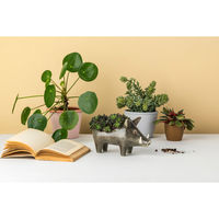 Hannah Turner プランター WildBoar 456542 1個（直送品）