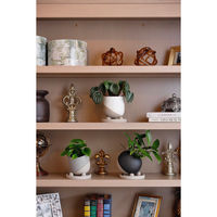 デルキ 植木鉢 レヒーポット Dタイプ 受け皿付き ホワイト 484477 1個（直送品）