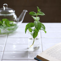 SOW 花瓶 MINI BULB VASE 水栽培ガラスベース 7cm 水耕栽培 485686 1個（直送品）