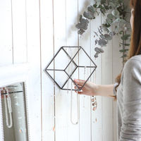 SOW フレーム ジョセフアイアン ディスプレイワイヤーフレーム キューブ Lサイズ 486060 1個（直送品）