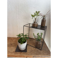 SOW プレート ジョセフアイアンプレート 15×15cm 486064 1個（直送品）