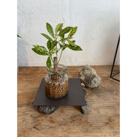 SOW プレート ジョセフアイアンプレート 30×30cm 486066 1個（直送品）