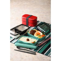 イエロースタジオ 弁当箱 800ml 25EDGE オーバル2段ランチ レッド 490787 1個（直送品）