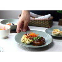 ネクスト 皿 ウラヌス 大皿22cm 日本製 490849 1個（直送品）