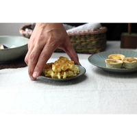 ネクスト 皿 ウラヌス 小皿11cm 日本製 490847 1個（直送品）