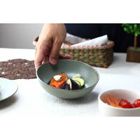 ネクスト 鉢 ウラヌス 中鉢16cm 日本製 490851 1個（直送品）