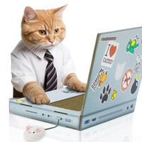 アントレックス 爪とぎ SUCK UK キャットスクラッチャー LAPTOP 494388 1個（直送品）