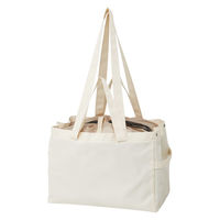 スケーター エコバッグ サイドベルト付き 保冷バッグ レジかご スヌーピー 494980 1個（直送品）