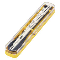 スケーター 抗菌スリムコンビセット スヌーピー グッドネス75周年 音の鳴らない お箸 スプーン 495247 1個（直送品）