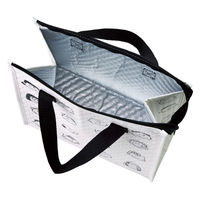 スケーター ランチバッグ 不織布保冷バッグ スヌーピー グッドネス75周年 495251 1個（直送品）