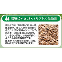 尚美堂 フジピュアペーパータオル 中判 96400 1箱 (40袋)（直送品）