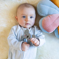 トライブ おもちゃ ベビー シリコンはがため コアラちゃん 410399 1個（直送品）