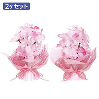 ポップギャラリー(POPGALLERY) 春色桜ペアセット TE1-1393 1セット（直送品）