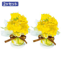 ポップギャラリー(POPGALLERY) 菜の花ボールペアセット TE1-1394 1セット（直送品）