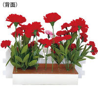 ポップギャラリー(POPGALLERY) カーネーション垣根アレンジ TE1-1397 1個（直送品）