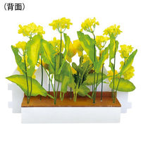 ポップギャラリー(POPGALLERY) 菜の花垣根アレンジ TE1-1399 1個（直送品）