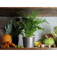 ホワイエ プランター MC円錐ポット 直径16×高さ12.5cm アイアン グレーゴールド 404068 1個（直送品）