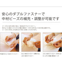 フレックス販売 ビーズクッション クッション 極小ビーズ 幅55cm グリーン 415018 1個（直送品）