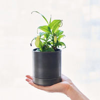 ホワイエ 植木鉢 MC円柱メタルECOポット 受け皿付き 直径10cm ダークブラック 416298 1個（直送品）
