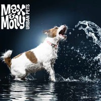 ルークラン ライト 散歩 犬 マックス&モーリー マトリックス LEDライト 夜間 グリーン 436411 1個（直送品）