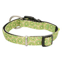 ルークラン 首輪 小型犬 S マックス&モーリー 迷子札 犬 キウイ 437573 1個（直送品）