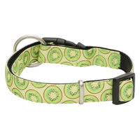ルークラン 首輪 中型犬 M マックス&モーリー 迷子札 犬 キウイ 437609 1個（直送品）