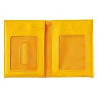 デビカ パスケース らいおん Wポケット よいこのおどうぐばこ 子供用 438513 1個（直送品）