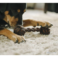 ルークラン おもちゃ 犬 P.L.A.Y. ロープトイ S バーベル 噛む 440034 1個（直送品）