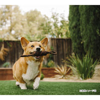 ルークラン おもちゃ 犬 P.L.A.Y. ロープトイ S タグ 噛む 440035 1個（直送品）