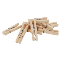 ギャラックス貿易 洗濯バサミ レデッカー 4.5cm 100個セット 452153 1個（直送品）