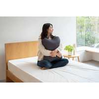 フレックス販売 ビーズクッション コアラ 44×53cm ブラック 459201 1個（直送品）