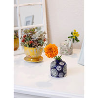 デルキ 植木鉢 ポーリッシュポット Fタイプ 受け皿付き ハナ 484465 1個（直送品）