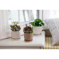 デルキ 植木鉢 ニードポット Aタイプ Lサイズ 受け皿付き ブラウン 484559 1個（直送品）