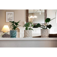 デルキ 植木鉢 ジェロポット S 受け皿付き ブルー 484564 1個（直送品）