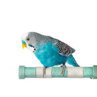 ルークラン 止まり木 爪とぎ ループ バディ クオーツパーチ グリーン 486803 1個（直送品）