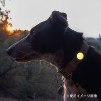 ルークラン ライト 散歩 犬 ループセイフ ルーセントLED イエロー 486811 1個（直送品）