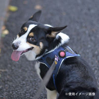 ルークラン ライト 散歩 犬 ループセイフ ルーセントLED ピンク 486813 1個（直送品）