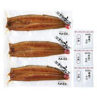 大和養魚 うなぎ蒲焼長焼 3尾計330g【高島屋セレクト】 K330-3R5 1個（直送品）