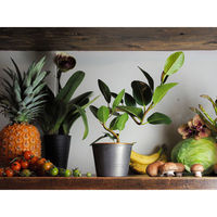 ホワイエ プランター MC円錐ポット 直径12×高さ9.5cm アイアン グレーゴールド 404063 1個（直送品）