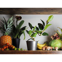 ホワイエ プランター MC円錐ポット 直径12×高さ9.5cm アイアン ブラック 404061 1個（直送品）