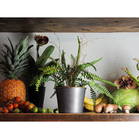 ホワイエ プランター MC円錐ポット 直径14.5×高さ11.5cm アイアン グレーゴールド 404066 1個（直送品）