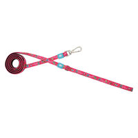 ルークラン リード 小型犬 XS マックス&モーリー 1.2m 犬 マジカル 437701 1個（直送品）