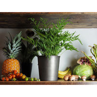 ホワイエ プランター MC円錐ポット 直径17×高さ17cm アイアン ブラック 404071 1個（直送品）