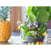 ホワイエ 花瓶 MC浅型円柱 直径20×高さ8cm ダークブラック 404080 1個（直送品）