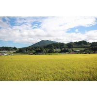 縁結び　島根県飯南町 令和七年度産 2合キューブ AKOMEYA TOKYO/アコメヤ
