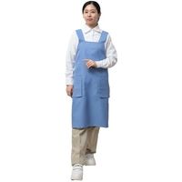 岡潮 ワンステップエプロン (ポリエステル100%) 8127 サックス色 1着 612-6127（直送品）