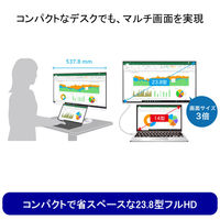 EIZO FlexScan EV2400R EV2400R-BK 1台（直送品）