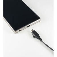 カシムラ 旅行用USB充電&同期ケーブル リール 70cm Wリバーシブル NWM-15 1個（直送品）