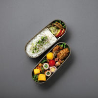 サーモス フレッシュランチボックス2段 DJT-601W MC 1個（直送品）